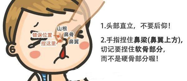 鼻子出血，家屬怎么辦？